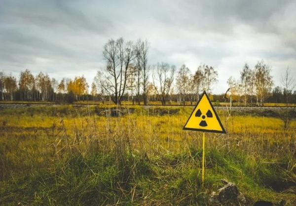 Последствия катастрофы на ЧАЭС: ситуация в Брестской области сегодня
