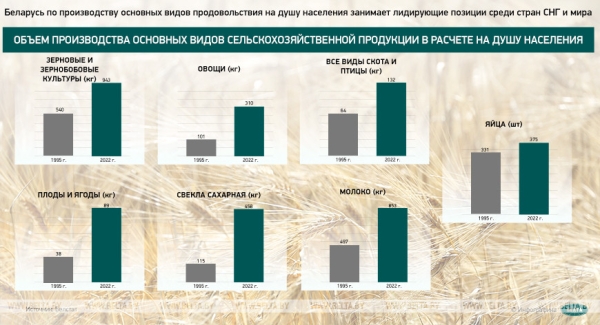 Оправдалась ли ставка Лукашенко на сельское хозяйство? Рассказываем в цифрах