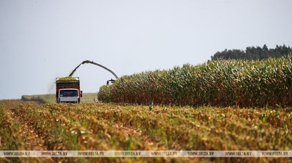 "Идем с опережением". Министр сельского хозяйства о ходе осенних полевых работ "Идем с опережением". Министр сельского хозяйства о ходе осенних полевых работ