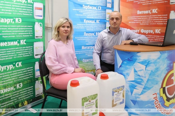 Новые разработки, выгодные контракты и активности. Чем запомнилась выставка "Белагро-2023" Новые разработки, выгодные контракты и активности. Чем запомнилась выставка "Белагро-2023"