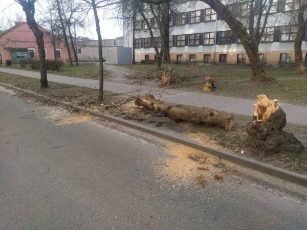 Не только утеплитель. Какие еще проблемы создал ветер в Бресте