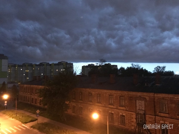 Максимальная скорость ветра этой зимы зарегистрирована в Бресте - 24 м/с Максимальная скорость ветра этой зимы зарегистрирована в Бресте - 24 м/с