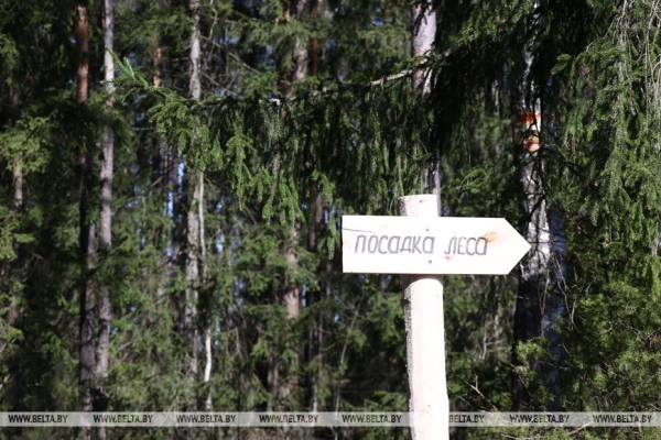 Сергеенко: субботники преображают страну и приобщают молодежь к общественно полезному труду Сергеенко: субботники преображают страну и приобщают молодежь к общественно полезному труду