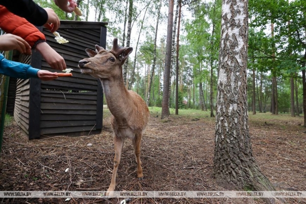 "Нужно пообщаться с природой, чтобы почувствовать релакс". Кто и зачем приезжает к духу болот в заповедник "Нужно пообщаться с природой, чтобы почувствовать релакс". Кто и зачем приезжает к духу болот в заповедник