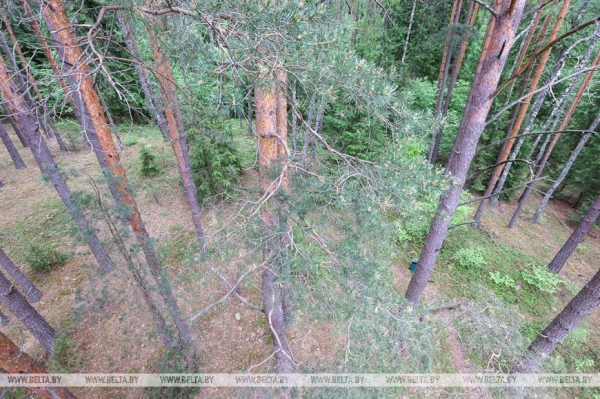 "Нужно пообщаться с природой, чтобы почувствовать релакс". Кто и зачем приезжает к духу болот в заповедник "Нужно пообщаться с природой, чтобы почувствовать релакс". Кто и зачем приезжает к духу болот в заповедник