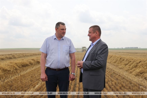 "Мы не ошиблись". Вице-премьер об увеличении посевов озимого ячменя "Мы не ошиблись". Вице-премьер об увеличении посевов озимого ячменя