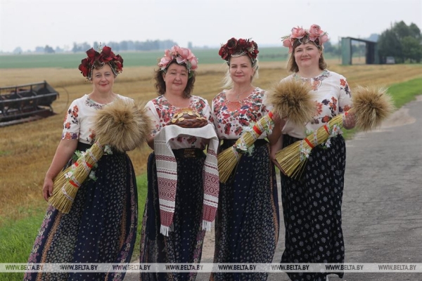 "Мы не ошиблись". Вице-премьер об увеличении посевов озимого ячменя "Мы не ошиблись". Вице-премьер об увеличении посевов озимого ячменя
