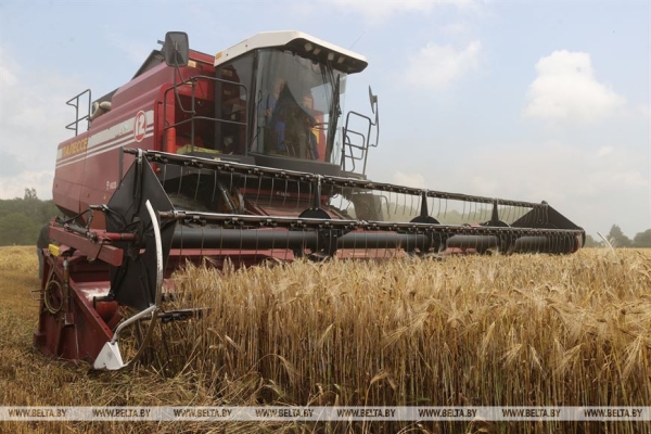 "Мы не ошиблись". Вице-премьер об увеличении посевов озимого ячменя "Мы не ошиблись". Вице-премьер об увеличении посевов озимого ячменя