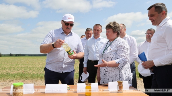 "Это революция будет на селе". На какую сельхозкультуру Лукашенко сделал верную ставку? "Это революция будет на селе". На какую сельхозкультуру Лукашенко сделал верную ставку?