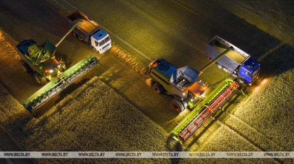 Ситуация на полях и кадровый вопрос. Лукашенко принял с докладом вице-премьера Зайца Ситуация на полях и кадровый вопрос. Лукашенко принял с докладом вице-премьера Зайца