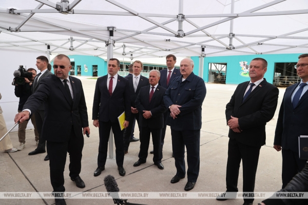 Лукашенко: наша задача - за пятилетку уйти от диких ферм и построить технологичные комплексы