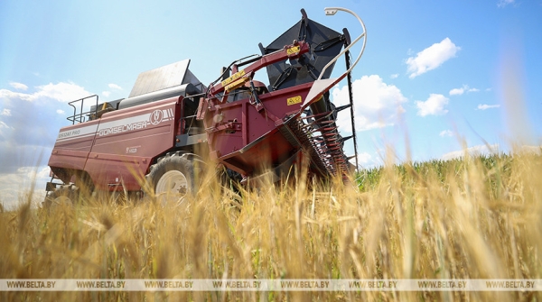 Ситуация на полях и кадровый вопрос. Лукашенко принял с докладом вице-премьера Зайца Ситуация на полях и кадровый вопрос. Лукашенко принял с докладом вице-премьера Зайца