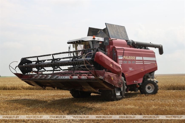 "Мы не ошиблись". Вице-премьер об увеличении посевов озимого ячменя "Мы не ошиблись". Вице-премьер об увеличении посевов озимого ячменя