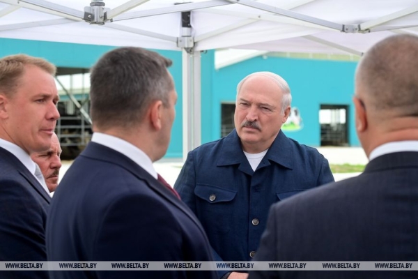 Окно возможностей, большое молоко, эксперименты на полях и спасенный базар. Итоги фестивальной недели Президента