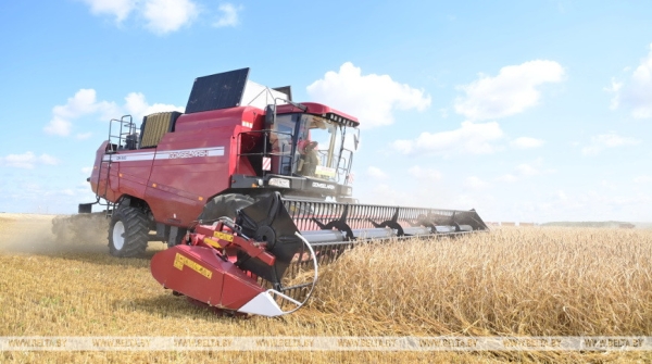 Какую роль в создании отрасли белорусского зернового комбайностроения сыграл Президент. Разбираемся в истории и перспективах