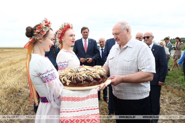 Лукашенко ставит задачу выходить на темпы уборочной в 6% площадей в день Лукашенко ставит задачу выходить на темпы уборочной в 6% площадей в день