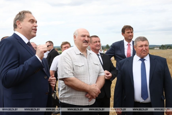 Какую роль в создании отрасли белорусского зернового комбайностроения сыграл Президент. Разбираемся в истории и перспективах