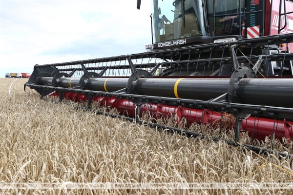 Лукашенко ставит задачу выходить на темпы уборочной в 6% площадей в день Лукашенко ставит задачу выходить на темпы уборочной в 6% площадей в день