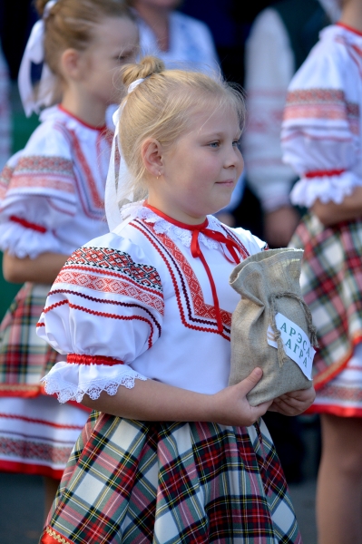 В агрогородке Горки отпраздновали районные «Дожинки»