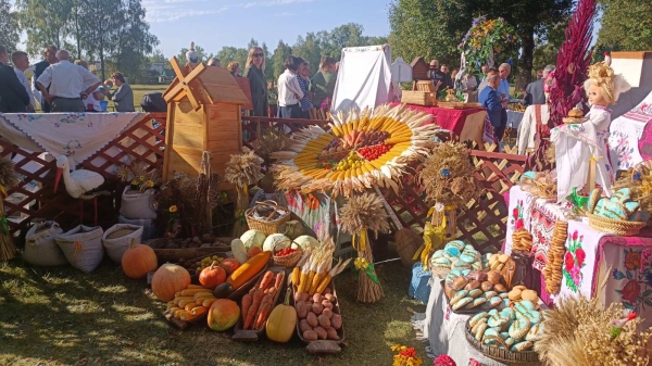 Посмотрите, какие колоритные &laquo;сельские подворья&raquo; приглашают гостей районных &laquo;Дожинок&raquo;!