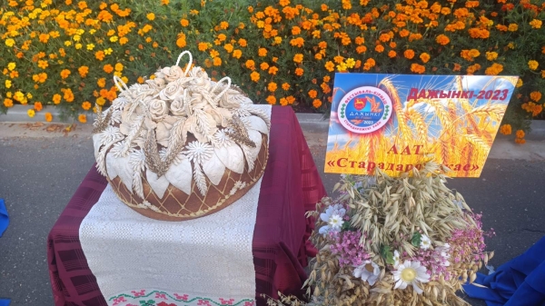 Красота нового урожая! На выставке «дожиночных» караваев и снопов выберут победителя