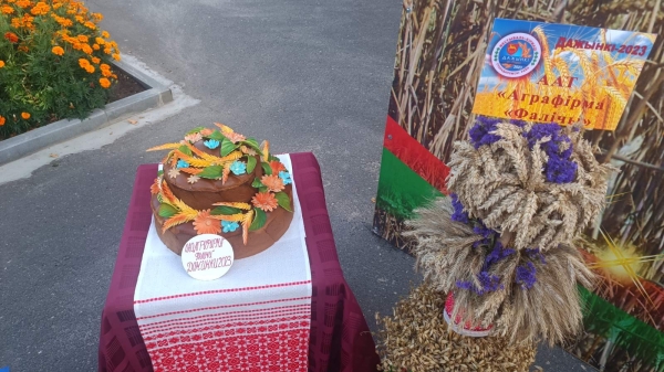 Красота нового урожая! На выставке «дожиночных» караваев и снопов выберут победителя