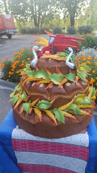 Красота нового урожая! На выставке «дожиночных» караваев и снопов выберут победителя