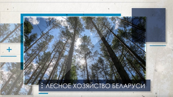 На этом сегодня можно озолотиться. Какую отрасль Лукашенко считает равнозначной сельскому хозяйству