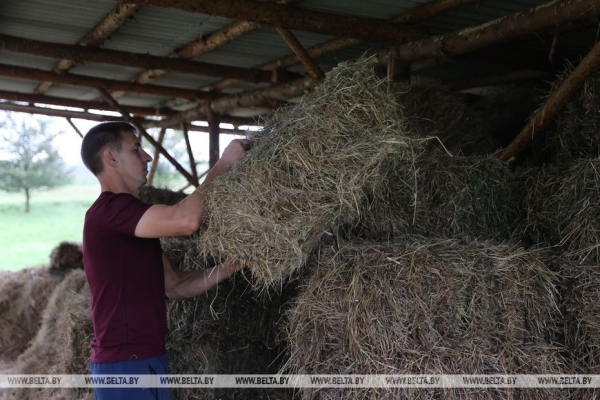"Ваша жизнь в деревне будет такой, какой вы захотите". О чем мечтает семья блогеров из белорусской глубинки