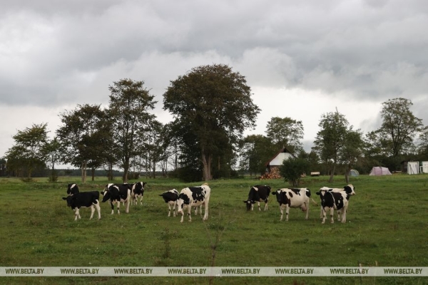 "Ваша жизнь в деревне будет такой, какой вы захотите". О чем мечтает семья блогеров из белорусской глубинки
