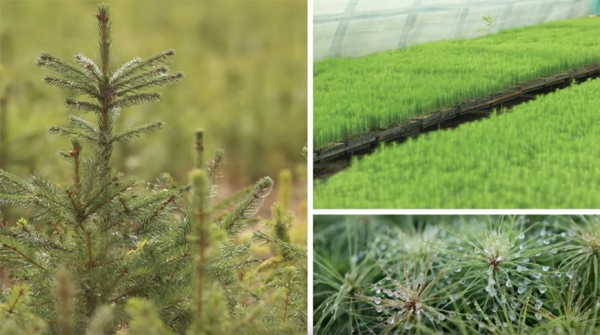 На этом сегодня можно озолотиться. Какую отрасль Лукашенко считает равнозначной сельскому хозяйству