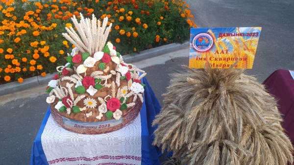 Красота нового урожая! На выставке «дожиночных» караваев и снопов выберут победителя