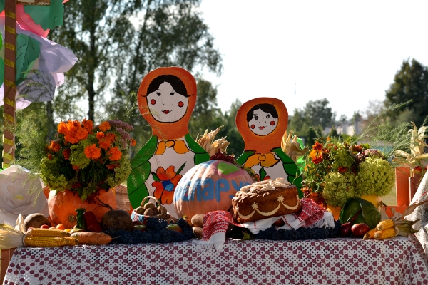 В агрогородке Горки отпраздновали районные «Дожинки»