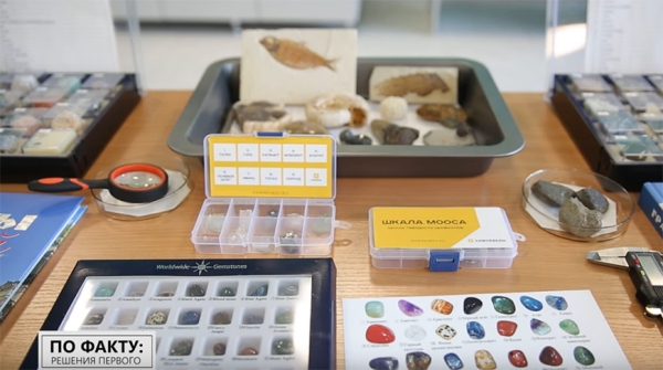 Лукашенко называет их "будущим страны". Рассказываем о главном богатстве Беларуси