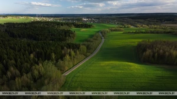 На этом сегодня можно озолотиться. Какую отрасль Лукашенко считает равнозначной сельскому хозяйству