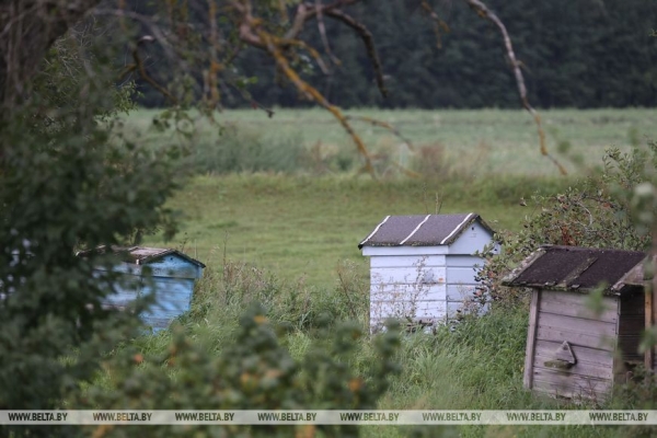 "Ваша жизнь в деревне будет такой, какой вы захотите". О чем мечтает семья блогеров из белорусской глубинки