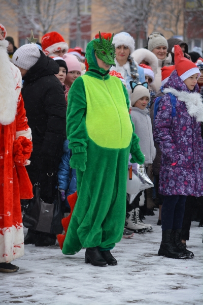 Новогоднее шествие Дедов Морозов прошло в Старых Дорогах (фоторепортаж) Новогоднее шествие Дедов Морозов прошло в Старых Дорогах (фоторепортаж)