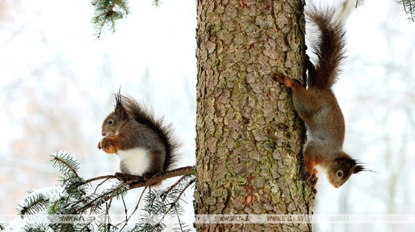 Сильный ветер и мокрый снег ждут нас в пятницу, субботу и воскресенье Сильный ветер и мокрый снег ждут нас в пятницу, субботу и воскресенье