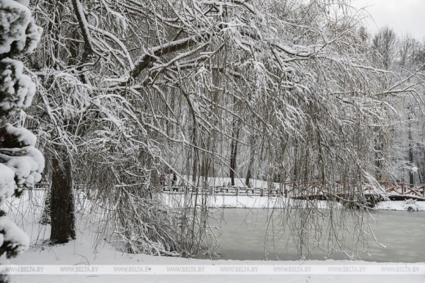 Национальная кухня, СПА, замки и флагманы промышленности. За чем российские туристы приезжают в Беларусь Национальная кухня, СПА, замки и флагманы промышленности. За чем российские туристы приезжают в Беларусь