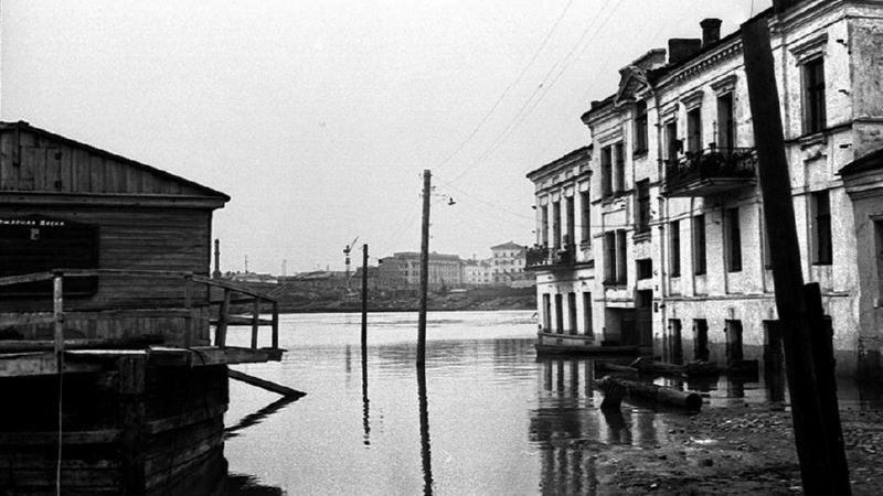 Как золотая рыбка в Витебске утонула