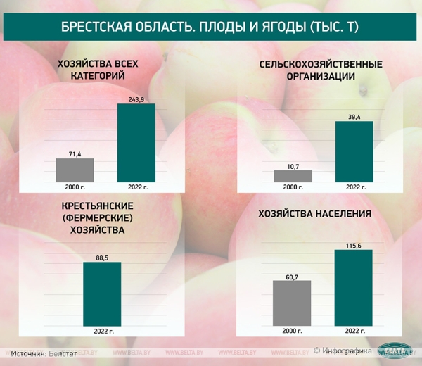 Оправдалась ли ставка Лукашенко на сельское хозяйство? Рассказываем в цифрах