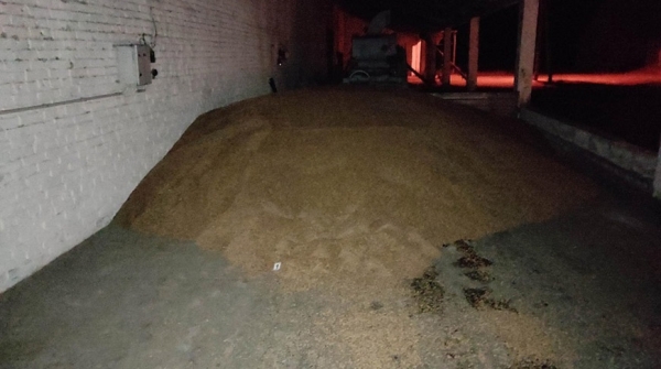 Похититель зерна в Стародорожском районе напал на бухгалтера сельхозпредприятия Похититель зерна в Стародорожском районе напал на бухгалтера сельхозпредприятия