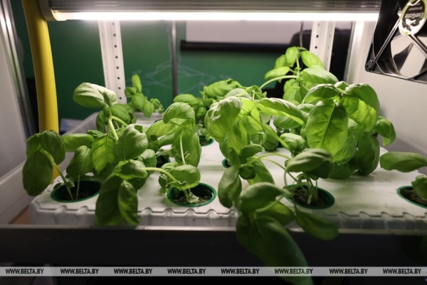 Новые разработки, выгодные контракты и активности. Чем запомнилась выставка "Белагро-2023" Новые разработки, выгодные контракты и активности. Чем запомнилась выставка "Белагро-2023"