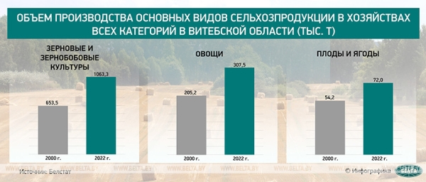Оправдалась ли ставка Лукашенко на сельское хозяйство? Рассказываем в цифрах