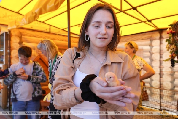 Новые разработки, выгодные контракты и активности. Чем запомнилась выставка "Белагро-2023" Новые разработки, выгодные контракты и активности. Чем запомнилась выставка "Белагро-2023"