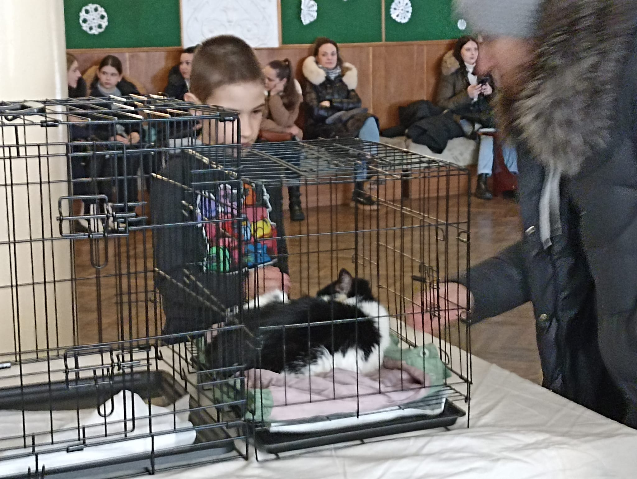 Как Витебский приют «Добрик» Новый год начал? Как Витебский приют «Добрик» Новый год начал?