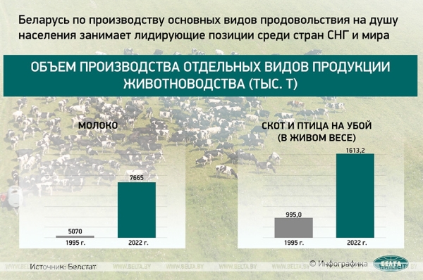 Оправдалась ли ставка Лукашенко на сельское хозяйство? Рассказываем в цифрах
