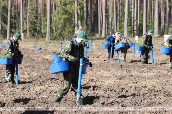 Более Br12 млн собрано по итогам республиканского субботника