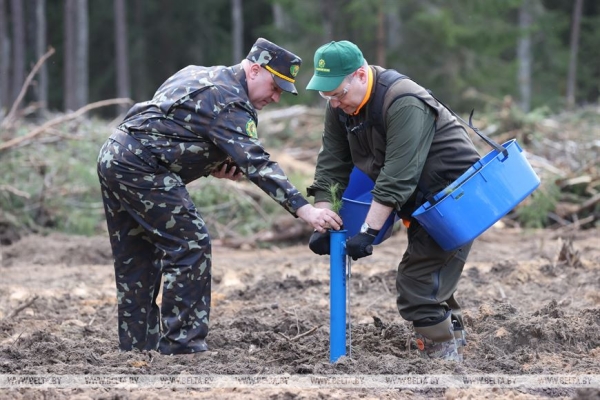 ФОТОРЕПОРТАЖ: Республиканский субботник прошел в Беларуси ФОТОРЕПОРТАЖ: Республиканский субботник прошел в Беларуси