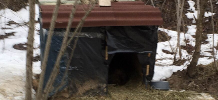 Тутэйшы&nbsp;Хаціка